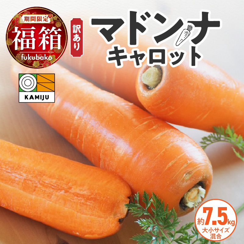 【福箱★2027】訳あり！「マドンナキャロット」 7.5kg　H105-282