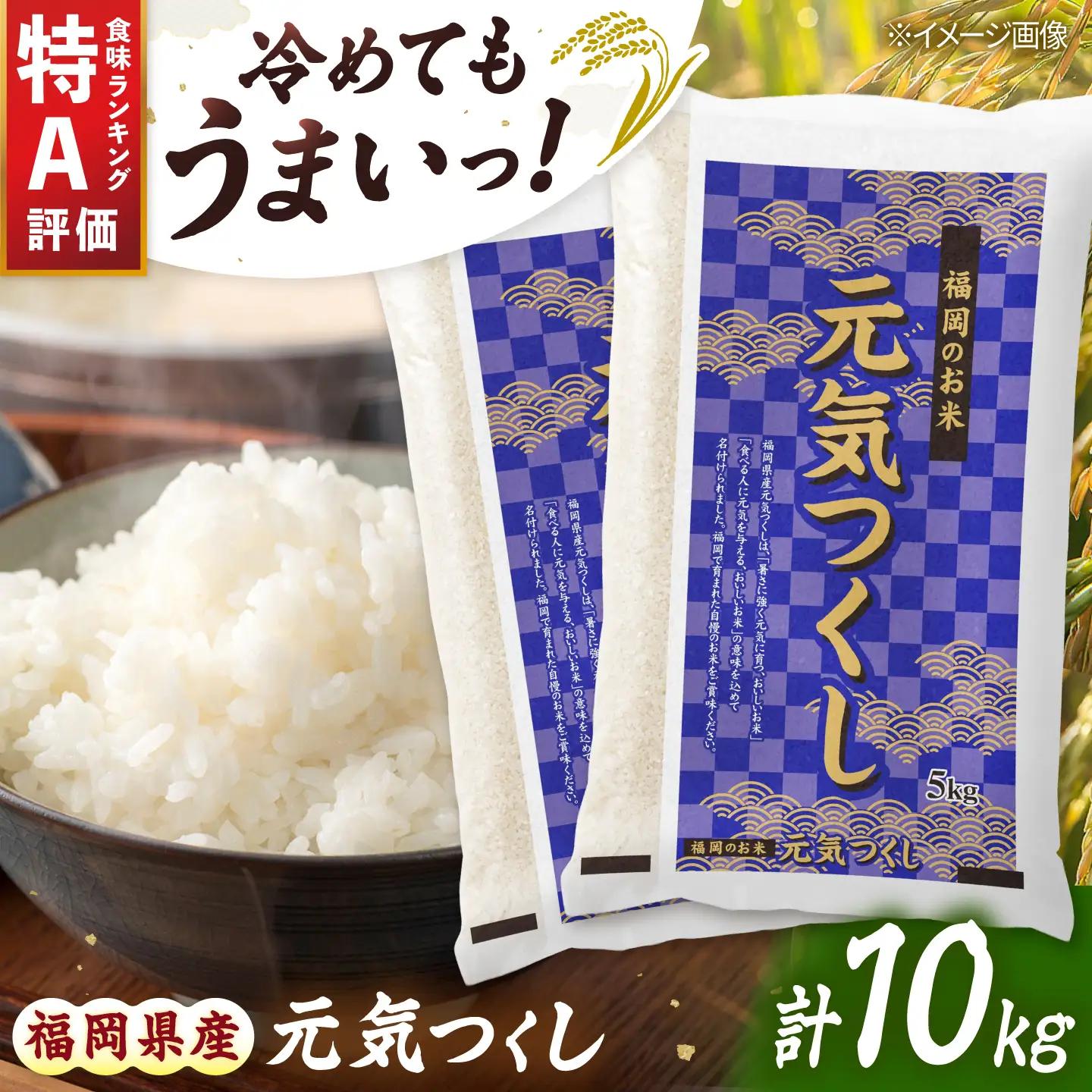 令和7年産 福岡県 元気つくし 10kg（5kg×2袋）[BGBZ005]