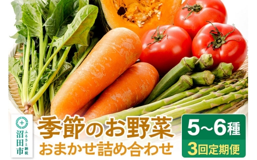 季節のお野菜 おまかせセット 季節ごとの3回お届け 定期便（1回あたり5～6種類）詰め合わせ [【野菜の定期便】お任せ おまかせ 野菜 やさい ヤサイ 詰め合わせ セット]