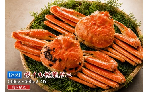 OM-20　【冷凍】ボイル松葉ガニ（400ｇ～500ｇを２枚）