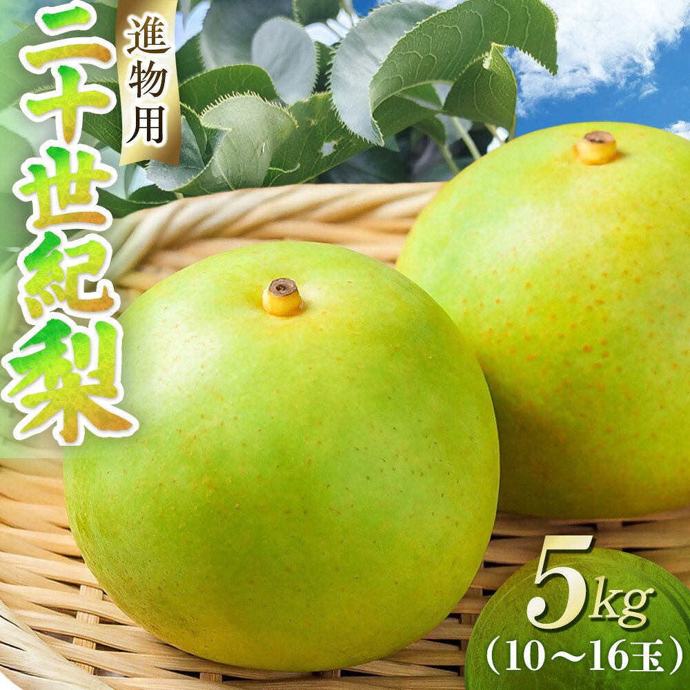 【ふるさと納税】 二十世紀梨【進物】5kg（東商果樹園） 鳥取 梨 果物 フルーツ 和梨 二十世紀梨 人気 甘い 進物 贈答用