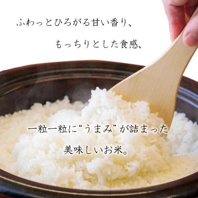 ふるさと納税 高原町 令和7年産 高原町産ヒノヒカリ5kg(無洗米)TF853 |  | 01