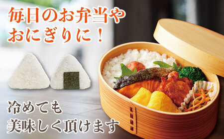 米 新米 5kg 令和7年産 粒すけ