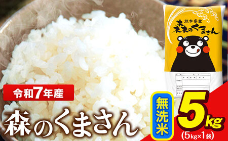 米 令和7年産 森のくまさん 5kg 無洗米