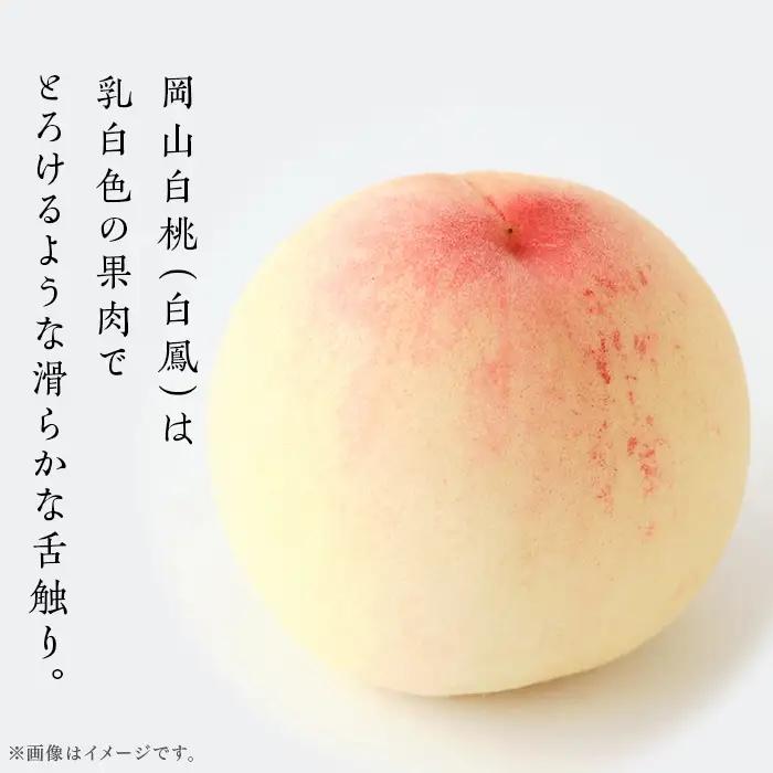 【ご家庭用】岡山白桃 白鳳 5～7玉【2026年7月上旬頃から順次発送】