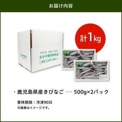 ふるさと納税 南九州市 鹿児島県産キビナゴ1kg |  | 03