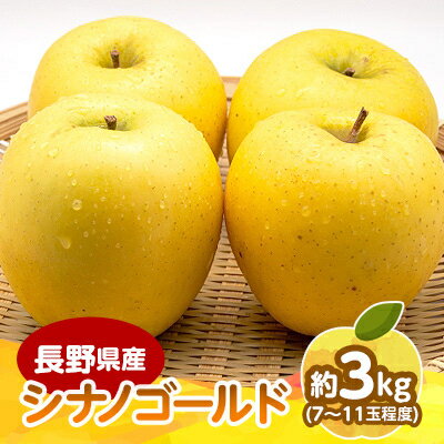 【ふるさと納税】【2025年発送】　長野県産 りんご　シナノゴールド　約3kg(7～11玉程度)_ りんご 林檎 フルーツ 果物 くだもの シナノゴールド 贈答 ギフト 人気 おすすめ 送料無料 お取り寄せ 長野県 信州 【1541951】