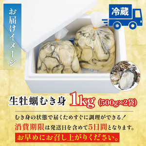 訳あり 牡蠣 むき身 1kg 【 牡蠣 】 500g×2袋 (加熱用) 数量限定 期間限定 先行予約 大船渡