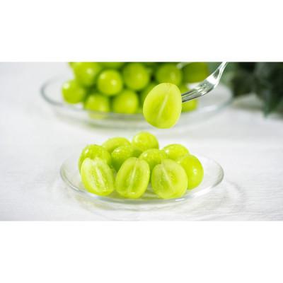 ふるさと納税 南アルプス市 【発送月固定定期便】フルーツギフト専門店が選ぶ南アルプスの厳選フルーツ定期便　全2品種全2回 |  | 02