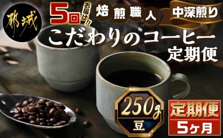 5回お届け!焙煎職人こだわりのコーヒー定期便【豆】250g 小分けパック(ジッパー・バルブ付) ※中深煎り※_TLA5-3302_(都城市) コーヒー豆 250g×1パック 少量パック ジッパー・バルブ付き ポスト投函 珈琲 全5回 毎月お届け 定期便