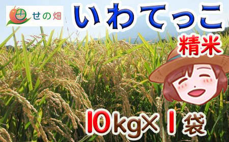 【2024年11月発送開始】 令和6年産 新米 岩手県産 いわてっこ 精米 10kg×1袋 ／ 米 白米 産地直送 農家直送 【せの畑】