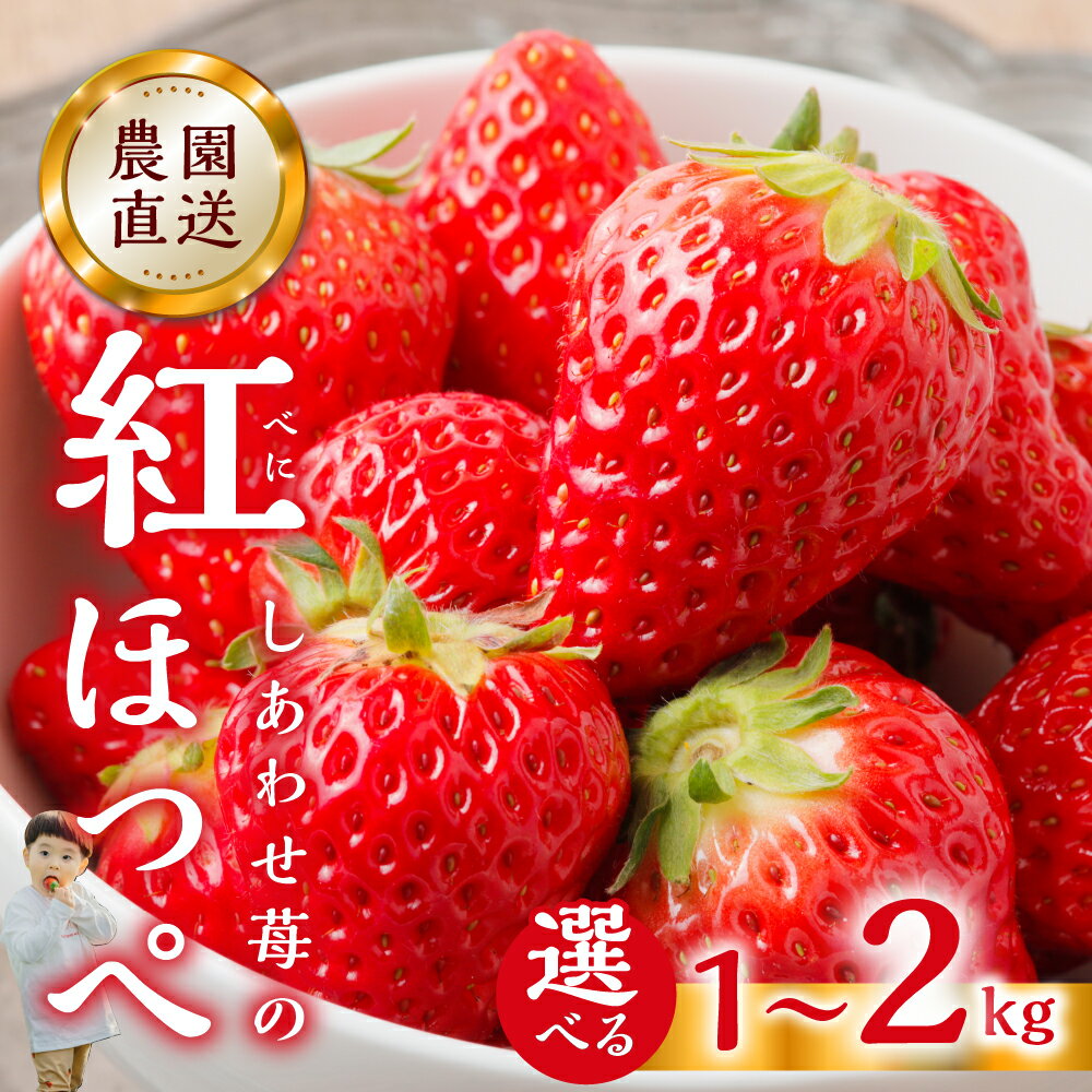【ふるさと納税】【2026年1月以降発送】 自宅用 いちご 紅ほっぺ 選べる 1kg (250g × 4p) or 2kg [しあわせ苺] サイズ バラバラ 訳あり 訳アリ 農園直送 フルーツ 果物 苺 イチゴ 子ども 大人 人気 小分け 簡易梱包 家庭用 産地直送 先行予約 岐阜 期間限定 [nt524]