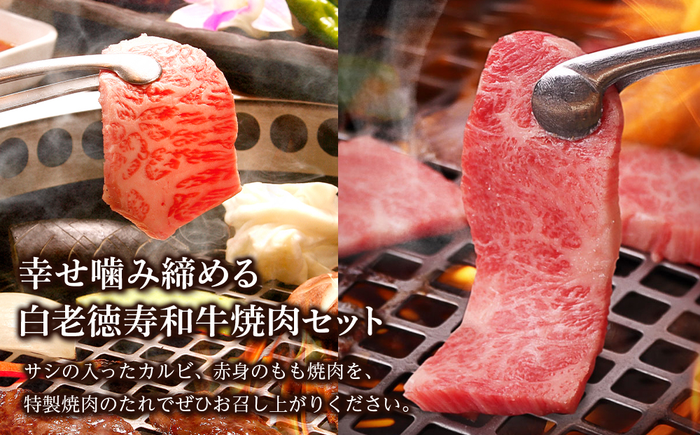 白老牛 焼肉 霜降り カルビ＆モモ セット 合計1.6kg（各800ｇ）特製焼肉のたれ付き 和牛 牛肉 北海道 ギフト ＜徳寿＞