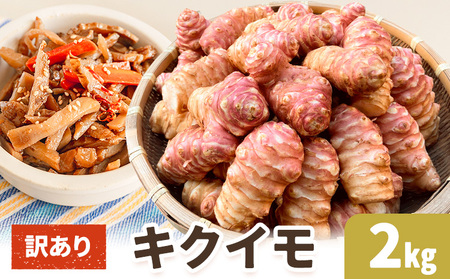 訳あり キクイモ 約2kg【配送不可地域あり】キクイモ