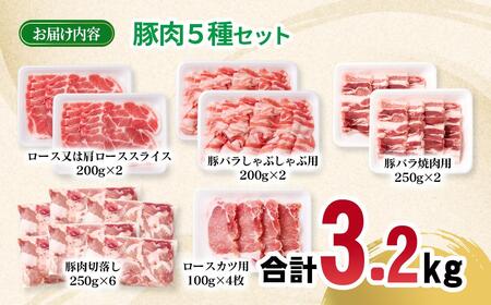 宮崎県産豚肉 5種 合計3.2kgセット 小分け 13パック 切り落とし ロース バラ＜1.6-42＞