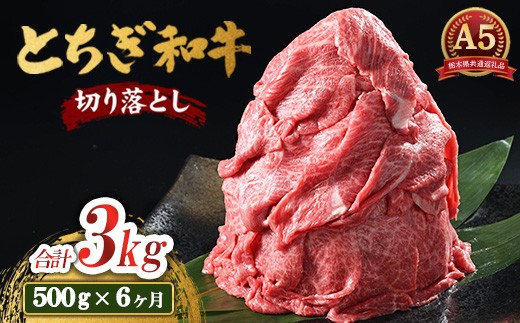 【6ヶ月定期便】とちぎ和牛 A5 切り落とし 500g【栃木県共通返礼品・栃木県産】｜とちぎ和牛切り落とし国産 とちぎ和牛切り落とし和牛 和牛 栃木県産牛肉 栃木県産肉 和牛肉 切り落し 切落し きりおとし キリオトシ 和牛 国産 牛肉 肉 栃木県産 国産牛肉 切り落とし肉 牛肉切り落とし