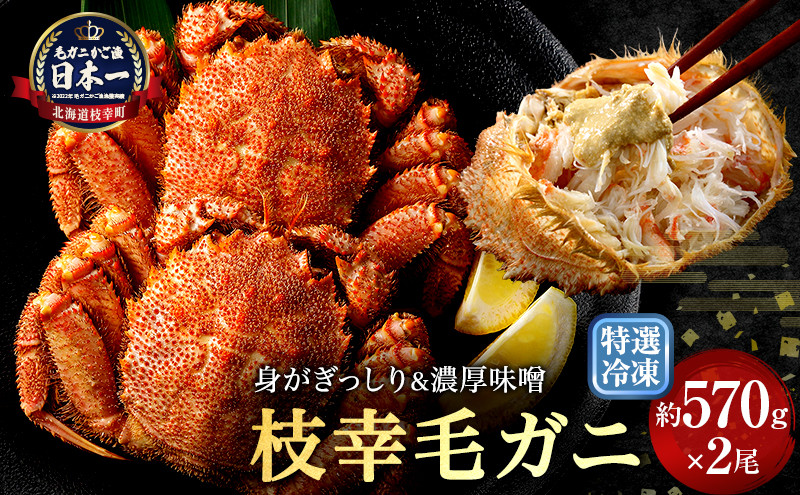 
                  【漁獲量日本一】至福の逸品！特選冷凍「枝幸毛がに」約570g×2尾 毛蟹 毛ガニ オホーツク 北海道
                