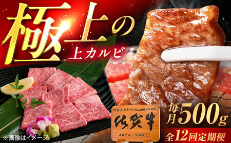 【12回定期便】佐賀牛 上カルビ 焼肉用 500g /MKミート武雄[UEM052] カルビ焼肉