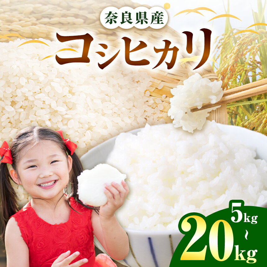 【ふるさと納税】【選べる内容量】奈良県産 コシヒカリ 精米 | 白米 米 お米 こめ コメ ライス ご飯 ごはん 新米 コシヒカリ おいしい 美味しい 粘り 甘味 贈り物 安心 安全 特産品 仕送り 全農パールライス株式会社 奈良支店 奈良県 五條市