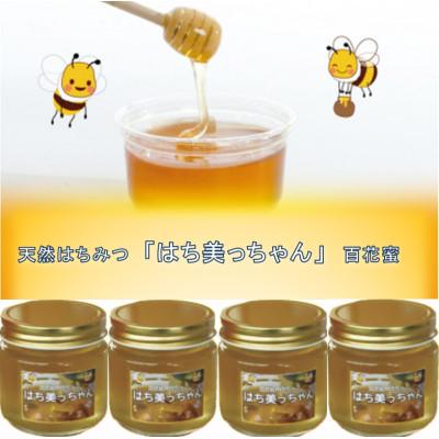 ふるさと納税 尼崎市 天然はちみつ「はち美っちゃん」　百花蜜　150g×4個