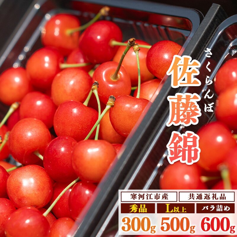 【ふるさと納税】 《先行予約》 令和9年産 山形県産 さくらんぼ 佐藤錦 選べる！300g 500g 600g Lサイズ以上 秀品 【2027年6月上旬頃から下旬頃発送予定】 ※配送不可 沖縄・離島 フルーツ 果物 果実 直送 2027年 旬 山形産 お取り寄せ 300グラム 500グラム 600グラム