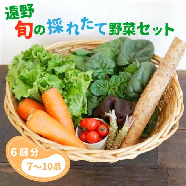 【偶数月6回定期便】旬の採れたて野菜の詰め合わせセット（7～10品）~いっぺ食べろよ~