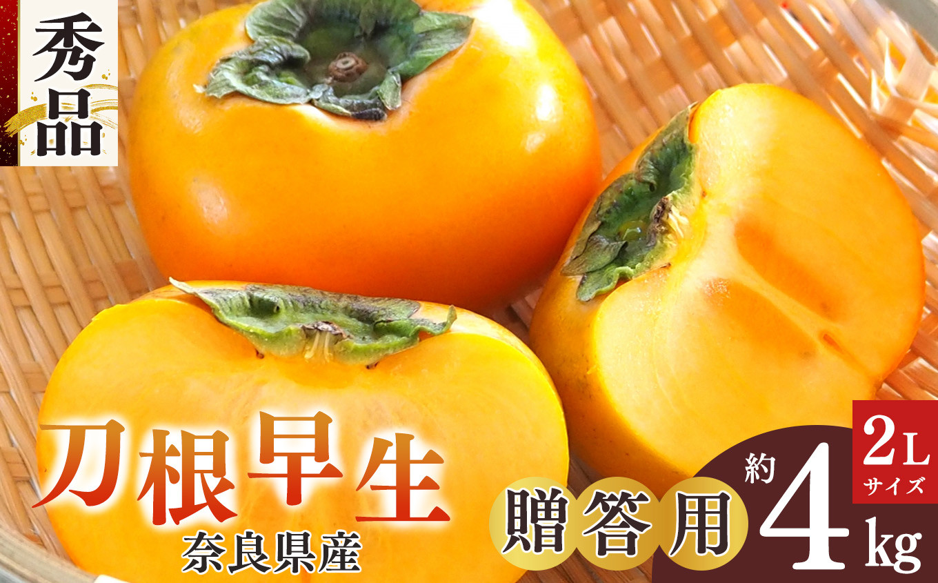 
            【 令和7年分 先行予約 】刀根早生 秀品 贈答用 2L 約4キロ 13玉  | フルーツ くだもの 果物 柿 かき カキ デザート 人気 国産 産地直送 奈良県 五條市 カキ 果実 10月 順次発送 秋 旬 味覚 グルメ お取り寄せ 送料無料 大容量 農家直送 おすすめ 自慢 逸品 高級 感 美容 健康 特産品  坂口農園 こだわり 贈答 ギフト 早生品種 甘い 種なし たねなし 脱渋 柔らかい
          