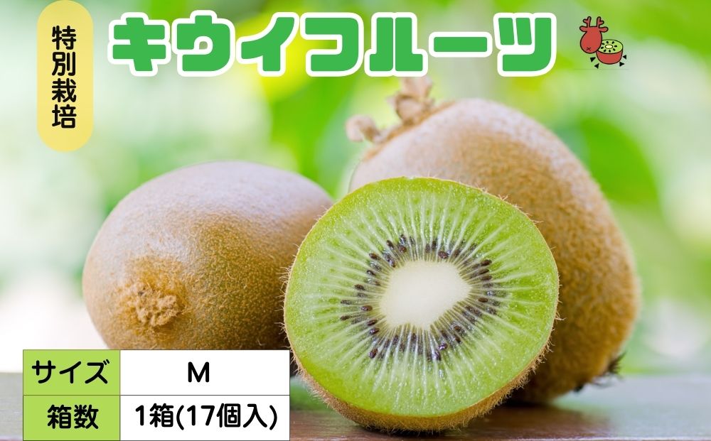 ＜12月以降順次発送＞プレミアム キウイ フルーツ Mサイズ 17個入 追熟処理済 ／ ふるさと納税 キウイ キウイフルーツ ギフト 栄養 果物 お土産 化学肥料不使用 特別栽培 塩 奈良県 宇陀市 やまとファームJAPAN