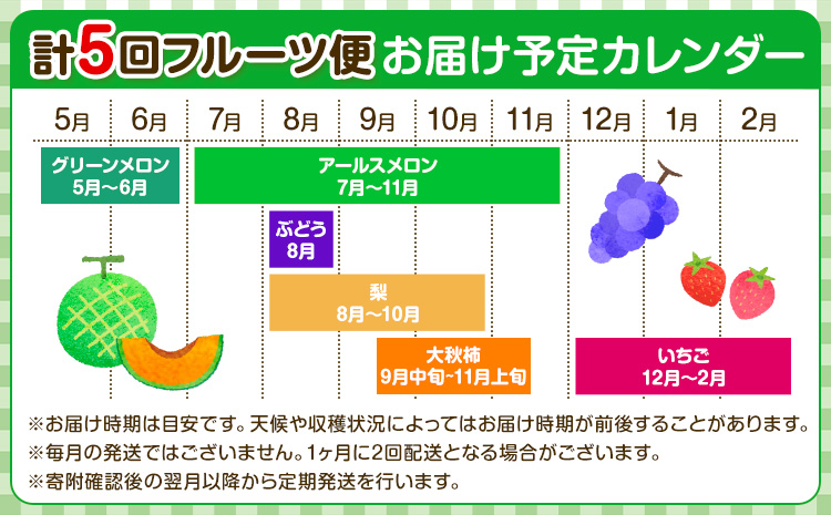 【定期便5回】 厳選 フルーツ 便 ( メロン ぶどう 梨 柿 いちご ) 葡萄 ブドウ ナシ なし かき 太秋柿 イチゴ 苺 果物 くだもの セット 詰め合わせ 定期便《お申込み月の翌月から出荷開始