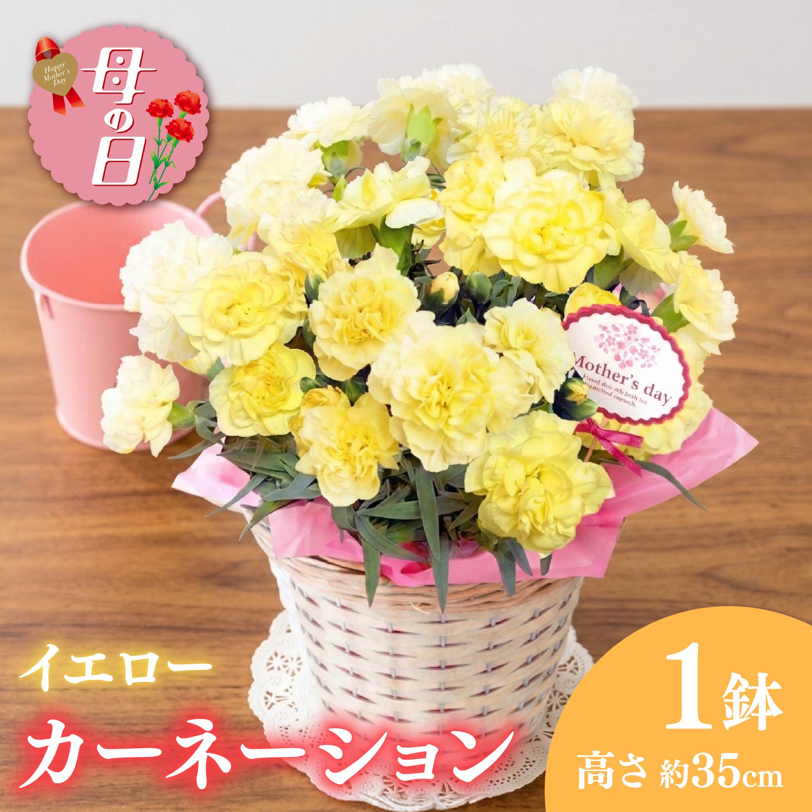 【ふるさと納税】 【先行予約】 母の日に！ カーネーション 鉢植え5号 イエロー 黄色 花 ギフト 贈り物 お祝い 植物 季節 生花 フラワー ギフト 母の日 2026年5月から順次発送 オンライン決済限定 静岡県 藤枝市