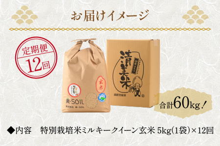 	【先行予約】【令和6年産新米】《定期便》5kg×12回 60kg 特別栽培米 ミルキークイーン 玄米 低農薬《食味値85点以上！こだわり玄米》 / 福井県 あわら市 北陸 米 お米 人気 ※2024