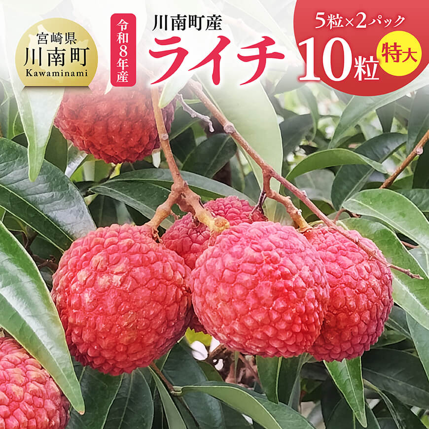 【令和8年産】川南町産ライチ（特大）10粒(5粒×2パック)　国産ライチ 果物 季節限定 [B03201]