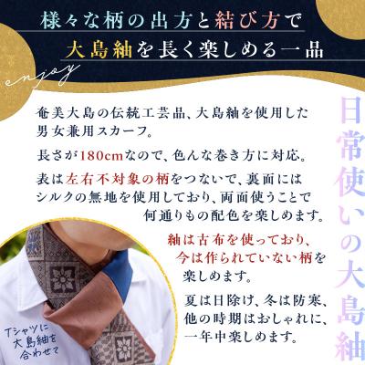 ふるさと納税 鹿児島市 【5営業日以内に発送】大島紬スカーフ(青)　K275-003_02 |  | 01