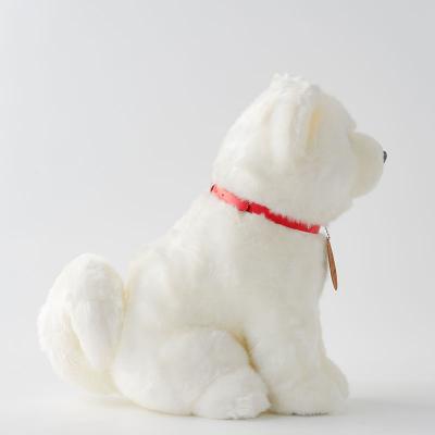 ふるさと納税 大館市 秋田犬白毛(鼻黒)ぬいぐるみ　座りLサイズ |  | 02