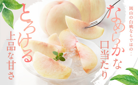 白桃 岡山県産 白桃【3玉 約800g】【先行予約】