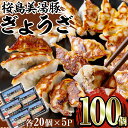 【ふるさと納税】鹿児島県産 桜島美湯豚ぎょうざ(計100個・20個入×5P)豚肉 豚 肉 餃子 ぎょうざ ギョウザ 惣菜 おかず 国産 鹿児島産 冷凍【森商店】A1-30110