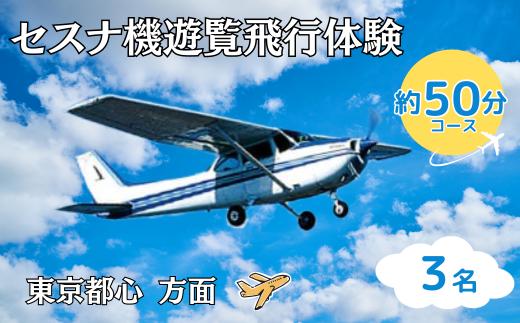 ＜3名＞セスナ機遊覧飛行体験〈約50分コース〉(フライトM)【遊覧飛行 体験 フライト 旅行 利用券 体験 国内 トラベル チケット 飛行  グライダー 3名様まで 空旅 レジャー 観光 ギフト プレゼント 贈り物】