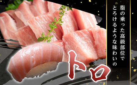 本場南紀から産地直送！ 本マグロ トロ+赤身セット 1kg | 【年末年始お届け可能】大トロ 中トロ 鮪 刺身 寿司 海のダイヤ クロマグロ 人気