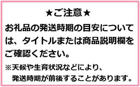 りんご【シナノスイート】14～18玉（約5kg）【2024年産・先行予約】