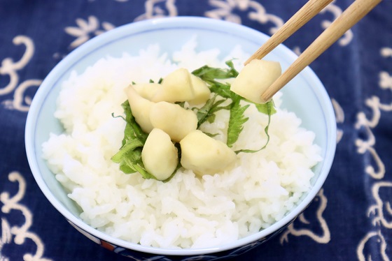芽生姜の甘酢漬け 3パック