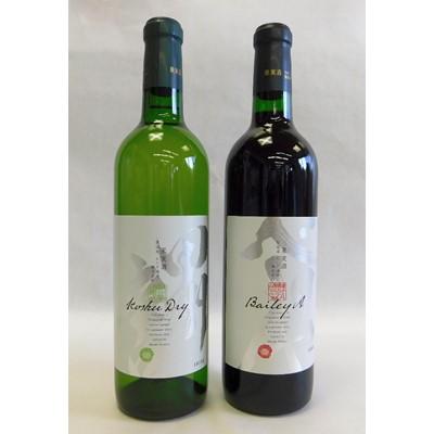 ふるさと納税 山梨県 山梨の地ワイン2本セット(モンデ酒造　赤白)
