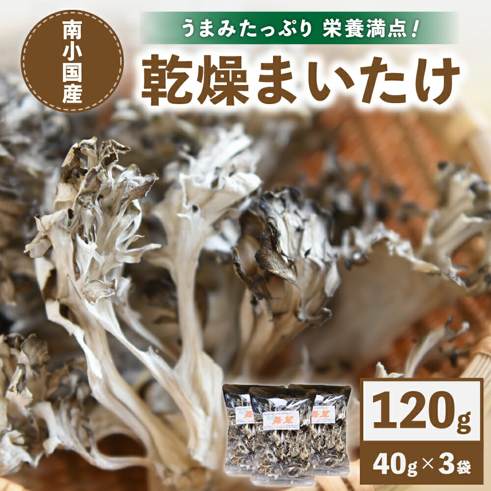 【ふるさと納税】 南小国産 乾燥まいたけ 40g 3パック きのこ 乾燥 乾燥きのこ 乾燥野菜 国産 栄養 お取り寄せ 熊本 阿蘇 南小国町 送料無料