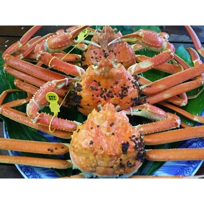 ふるさと納税 美浜町 旬!自家ゆで地カニ　木金土発送(大3入)　訳あり足折れ