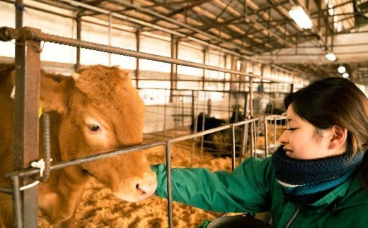 熊本県産 和牛 くまもと あか牛 ロース ブロック 2000g（2kg） 牛肉 赤牛