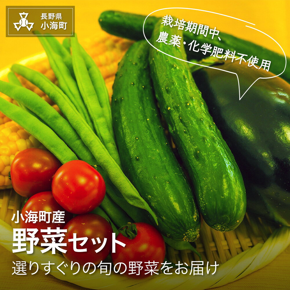 【ふるさと納税】【さかまき農園】小海産とれたて野菜セット数量限定 季節の味 旬 採れたて おすすめ野菜 直売所直送 長野県小海町