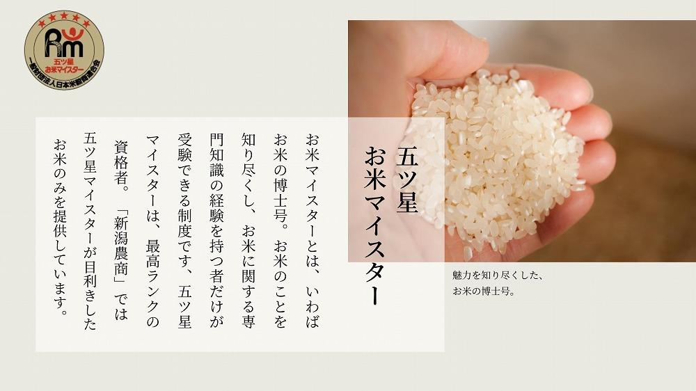 新潟県産虹の煌めき　5kg　