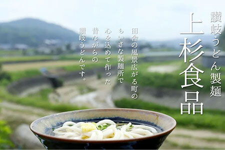 讃岐うどん 上戸うどん 上杉手作り生うどん10袋入り つゆ付き(300g×10袋、つゆ20ml×20袋)