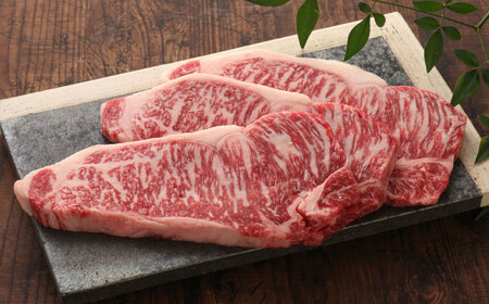 【GI認証】くまもとあか牛サーロインステーキ 約200g×3枚 ステーキ[AYCQ023]