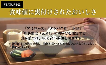令和7年産 会津産コシヒカリ 米でいいの田゛白米 5kg｜令和7年 2025年 会津産 米 お米 こめ コメ 精米 こしひかり 新米 [1095]