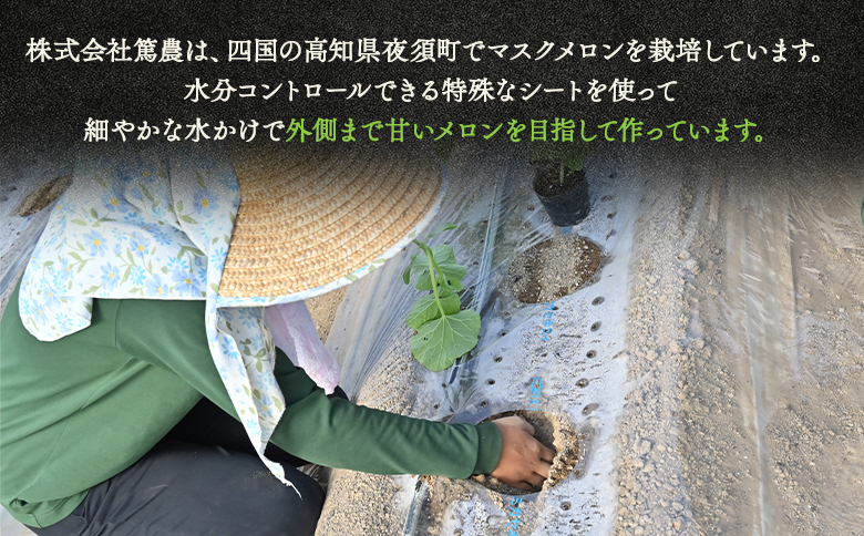 ※写真はイメージです